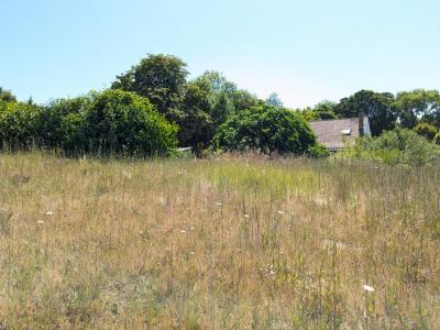 Annonce Vente Terrain Neuville-sur-oise 95