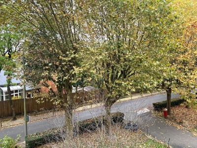 For rent Sevres 2 rooms 52 m2 Hauts de Seine (92310) photo 2