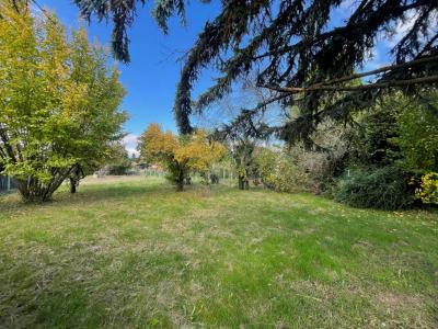 Annonce Location 5 pices Maison Seraincourt 95