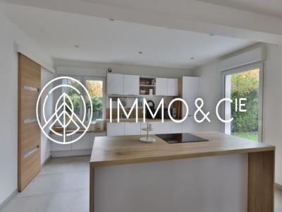 Annonce Location 4 pices Maison Merignies 59