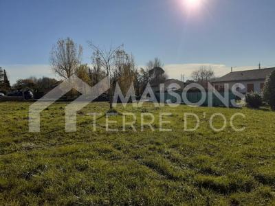 For sale Pins-justaret 500 m2 Haute garonne (31860) photo 0