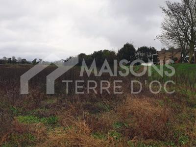 For sale Lux 559 m2 Haute garonne (31290) photo 0