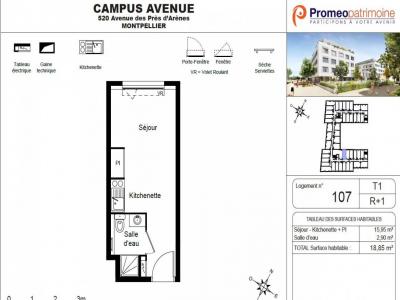 For rent Montpellier 1 room 18 m2 Herault (34000) photo 3