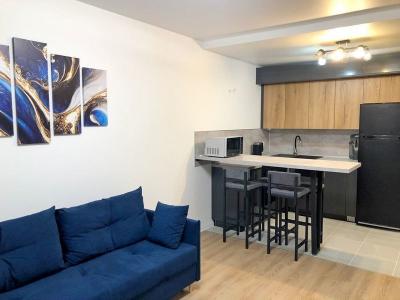 For rent Paris-15eme-arrondissement 2 rooms 35 m2 Paris (75015) photo 4