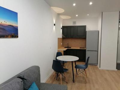 For rent Lyon-8eme-arrondissement 2 rooms 37 m2 Rhone (69008) photo 3