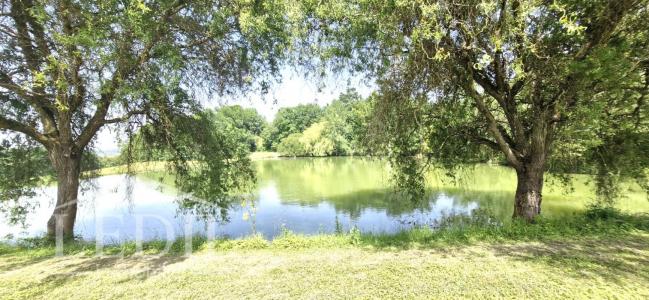 For sale Nerac 4 rooms 110 m2 Lot et garonne (47600) photo 1