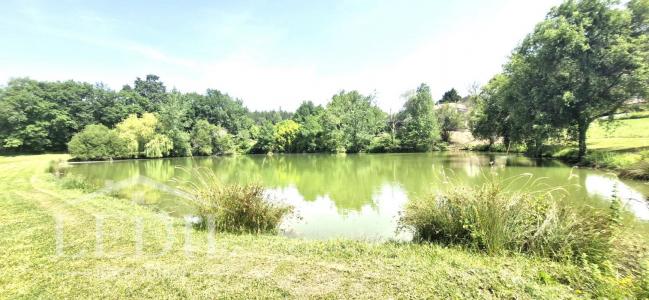 For sale Nerac 4 rooms 110 m2 Lot et garonne (47600) photo 3