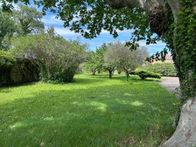 For sale Monteux 7 rooms 208 m2 Vaucluse (84170) photo 2