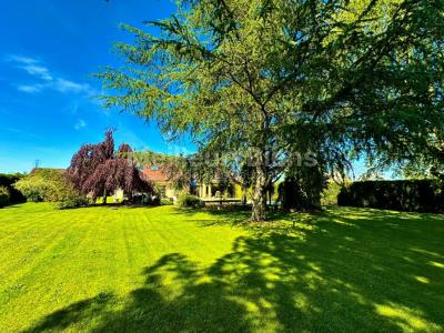 Acheter Maison 275 m2 Ruaudin