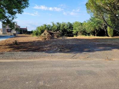 Annonce Vente Terrain Saint-martin-de-fraigneau 85