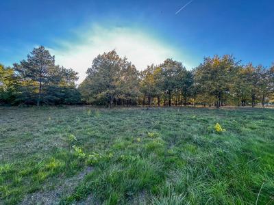 For sale Langon 17400 m2 Loir et cher (41320) photo 1
