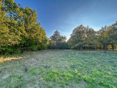 For sale Langon 17400 m2 Loir et cher (41320) photo 2