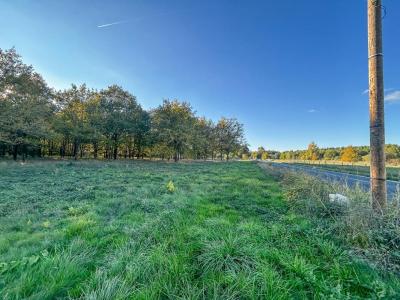 For sale Langon 17400 m2 Loir et cher (41320) photo 3