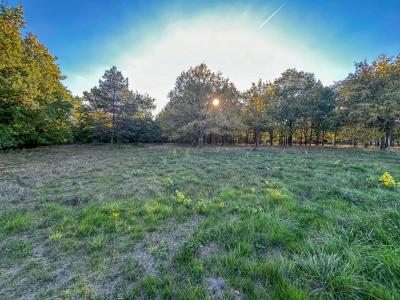 For sale Langon 17400 m2 Loir et cher (41320) photo 4
