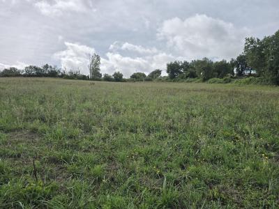 For sale Brousse Tarn (81440) photo 2