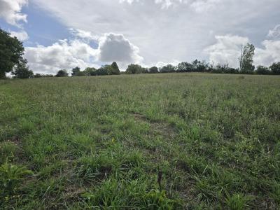 For sale Brousse Tarn (81440) photo 3