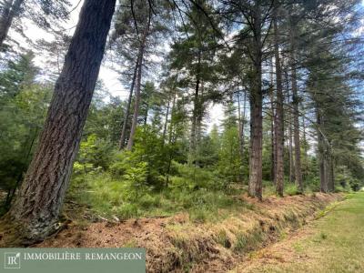 Acheter Prestige Neuvy-sur-barangeon Cher