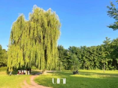 Acheter Appartement Caen Calvados