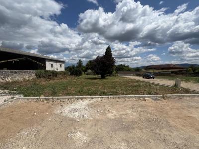 For sale Lucenay 372 m2 Rhone (69480) photo 4