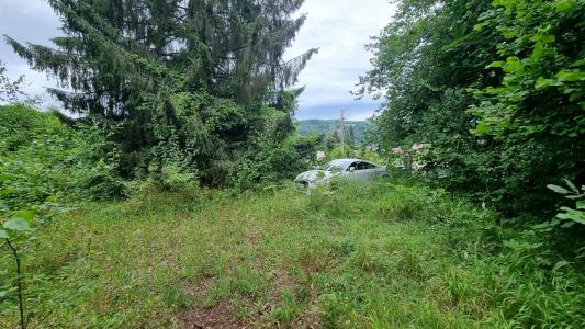 Acheter Maison 73 m2 Bilieu