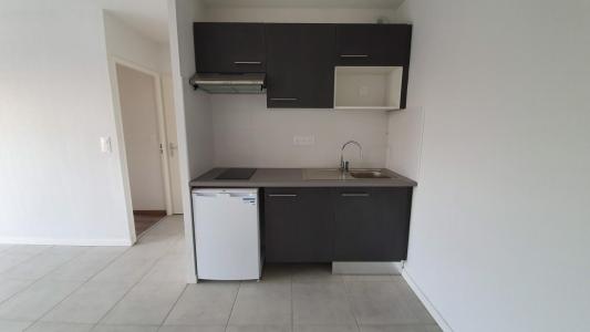 Annonce Location 2 pices Appartement Villate 31