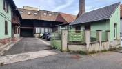 For sale Commerce Bischheim 263 m2