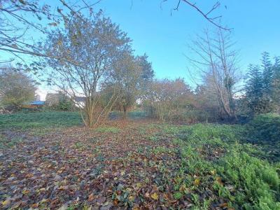 For sale Plabennec 436 m2 Finistere (29860) photo 2