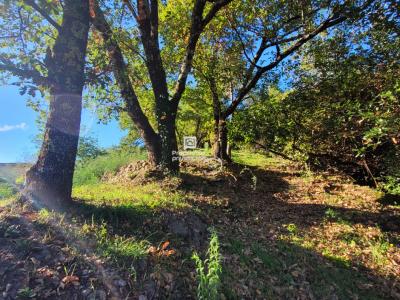 Acheter Terrain 785 m2 Aubenas