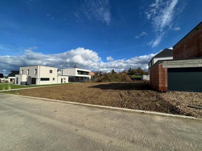 Annonce Vente 6 pices Maison Muespach 68
