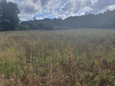 For sale Cenac 1580 m2 Gironde (33360) photo 0