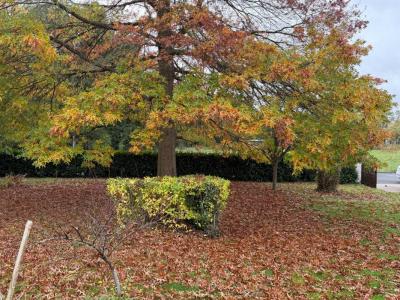 For sale Mareil-le-guyon 320 m2 Yvelines (78490) photo 0