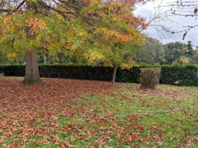 Annonce Vente Terrain Mareil-le-guyon 78