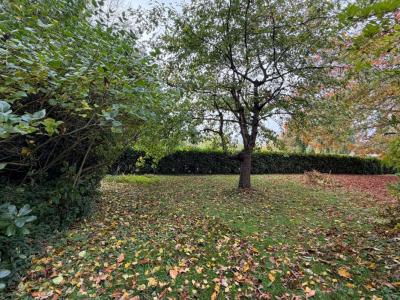 Acheter Terrain 320 m2 Mareil-le-guyon