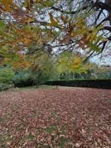 Acheter Terrain Mareil-le-guyon Yvelines