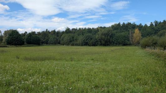 For sale Saint-just-chaleyssin Isere (38540) photo 1