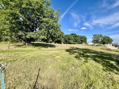 Annonce Vente Terrain Fabas 82