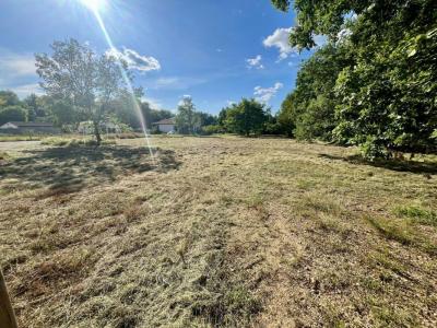 Acheter Terrain 1643 m2 Fabas