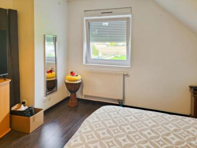 Acheter Maison Bantzenheim 335000 euros