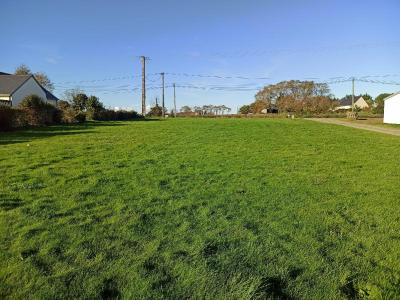 Annonce Vente Terrain  56