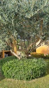 Acheter Maison Nizas 620000 euros