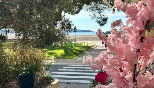 Annonce Vente 3 pices Appartement Royan 17
