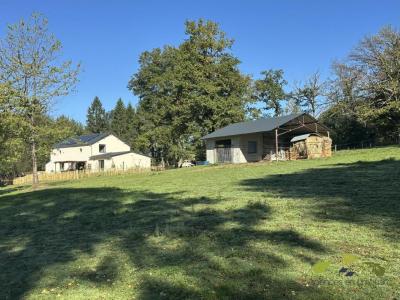 Annonce Vente Prestige Geneytouse 87