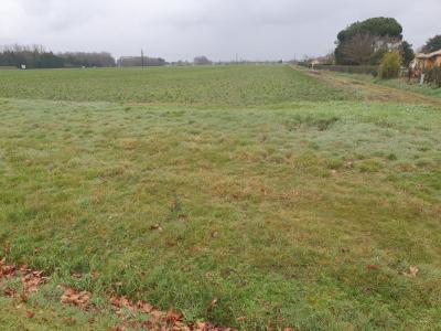 For sale Castelnau-de-medoc 680 m2 Gironde (33480) photo 0