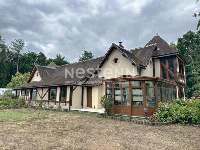 Acheter Prestige 235 m2 Pruniers-en-sologne