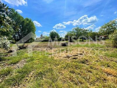 Annonce Vente Maison Montech 82