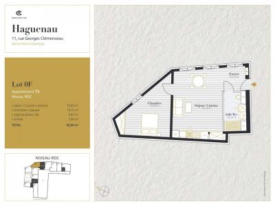 Annonce Location 2 pices Appartement Haguenau 67