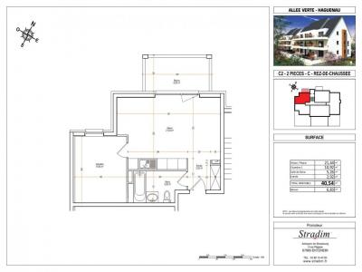 Annonce Location 2 pices Appartement Haguenau 67