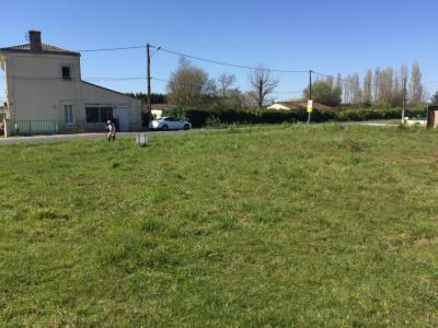 For sale Saint-loubes 617 m2 Gironde (33450) photo 0