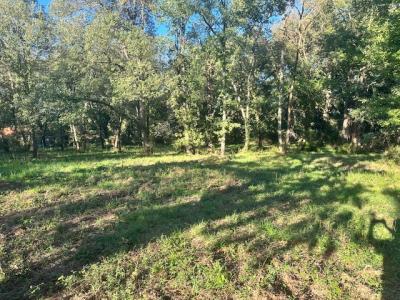 Annonce Vente Maison Pin-balma 31