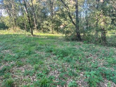 Acheter Maison Pin-balma 747785 euros